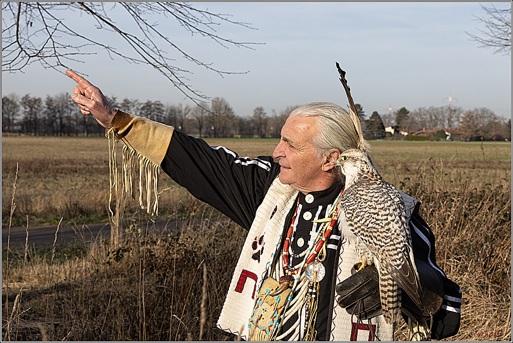 Cheyenne-Halbblut Hunting Wolf in der Falknerei Pierre Schmidt; Gymnich, 09.02.2023